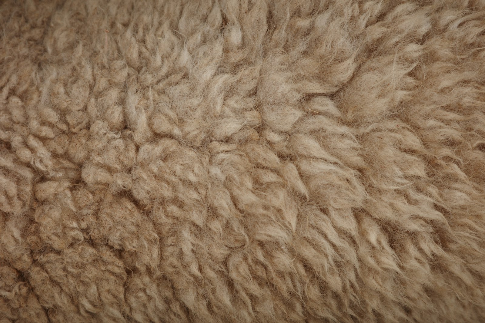 Close-up van ruwe, ongesponnen schapenwol in naturel en grijstinten